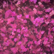 Do it Гель із сухоцвітами Flower gel №3 5 мл ЦН000129087 фото 5